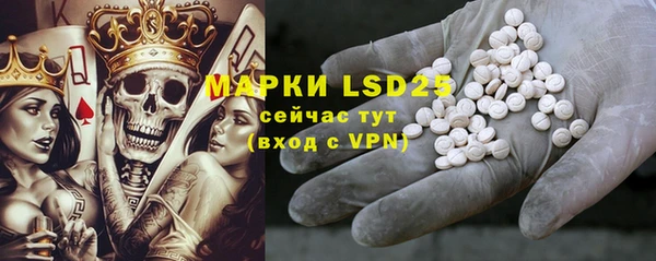 ПСИЛОЦИБИНОВЫЕ ГРИБЫ Михайловка