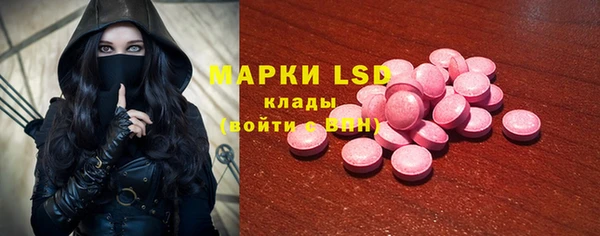 ПСИЛОЦИБИНОВЫЕ ГРИБЫ Михайловка