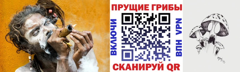 Псилоцибиновые грибы Psilocybe  где можно купить   Гусиноозёрск 