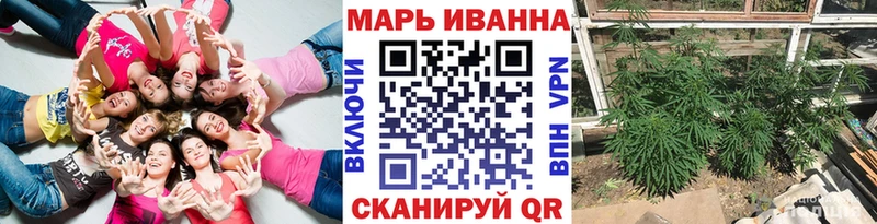 Бошки марихуана SATIVA & INDICA  Гусиноозёрск 